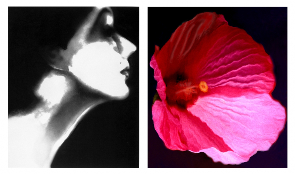 Lillian Bassman, Lisa Fonssagrives, Harper's Bazaar, circa 1950 / Flower 28 (Pink Mallow), 2006