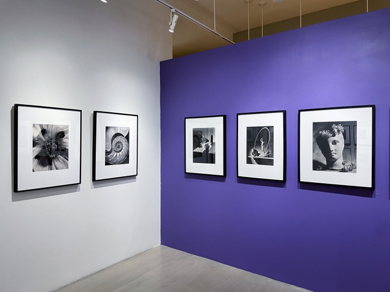 Horst P. Horst / George Hoyningen-Huene, Installation view