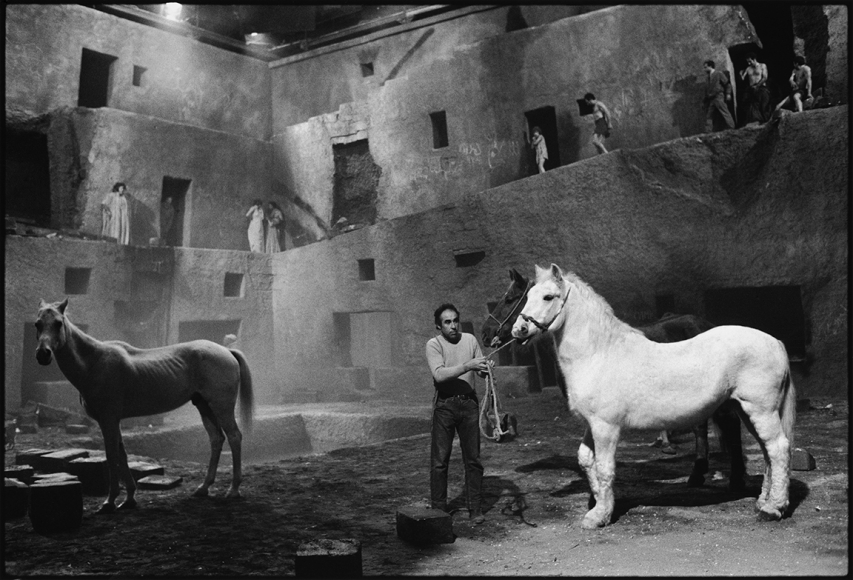 Mary Ellen Mark, Readying the horses for the next take, Fellini's Satyricon, Rome, Italy, 1969