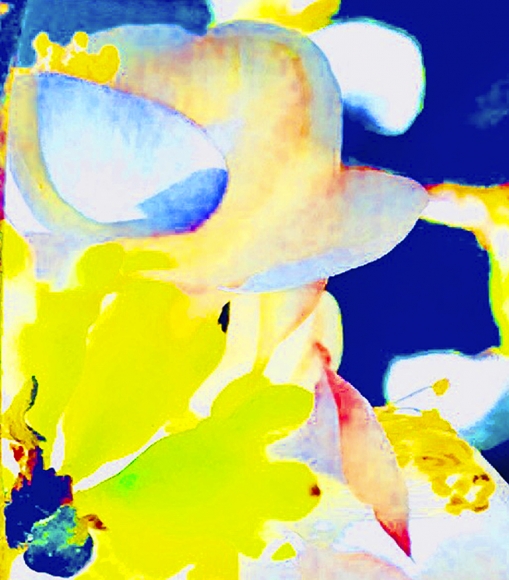 Joel Grey, Watercolor Dreams, circa 2018