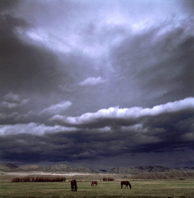 Michael Eastman, Horses, Montana