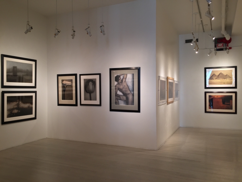 Sheila Metzner, Exhibition View