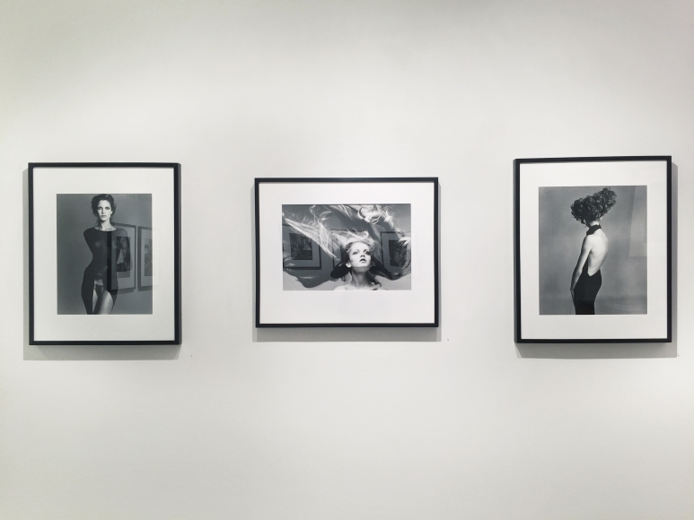 Richard Avedon, Exhibition View