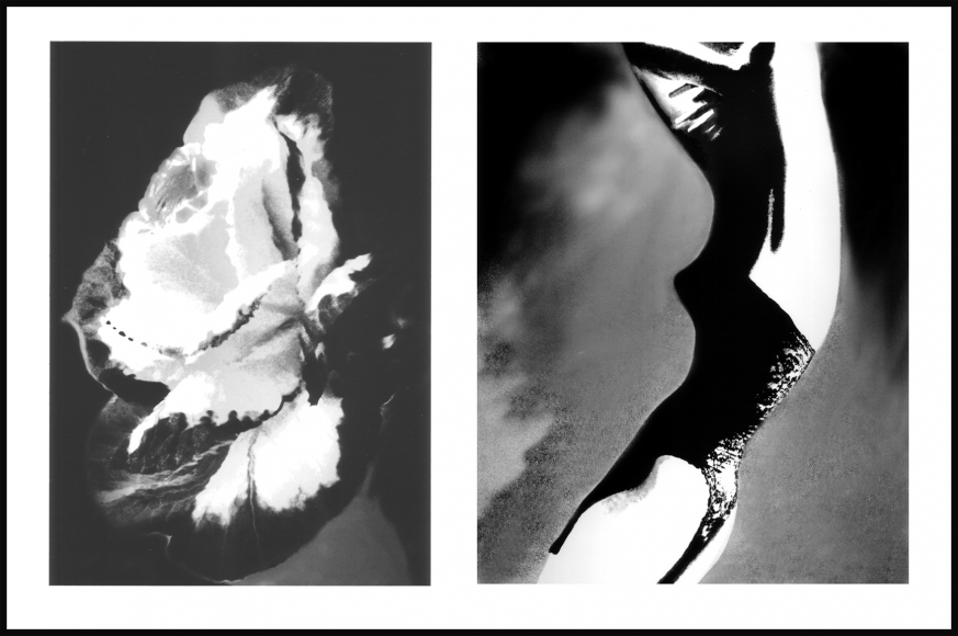 Lillian Bassman, Flower 33 (Cabbage Rose), 2006 “New Look Corset”, Christian Dior. Harper’s Bazaar, circa 1950