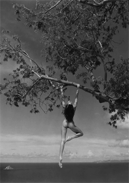 Patrick Demarchelier Nude, St. Barthelemy, 1989