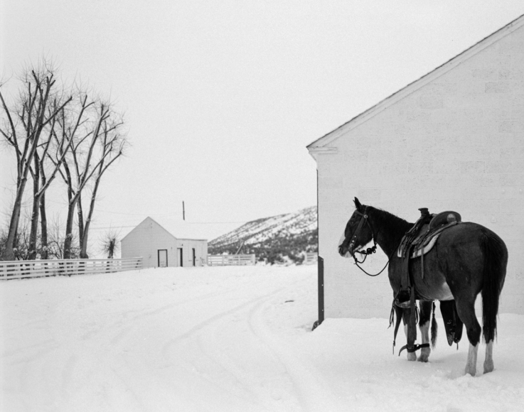 Kurt Markus, YP Ranch, Tuscarora, Nevada, 1981
