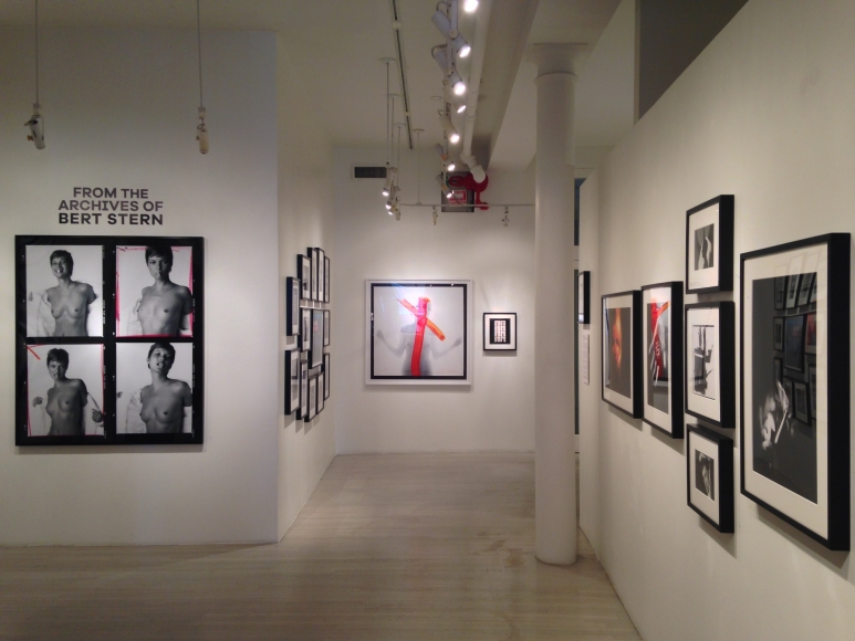 Bert Stern, Exhibition View