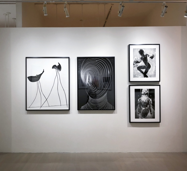 Txema Yeste, Exhibition View