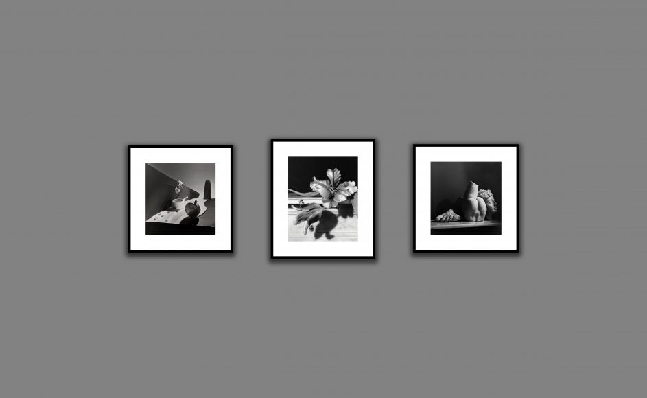 Photo London, Virtual Installation View