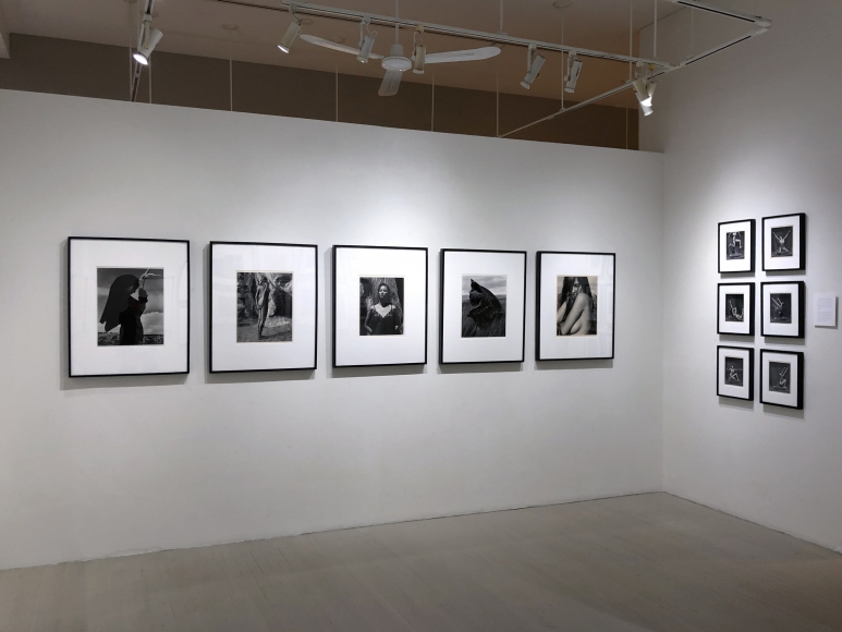 Kurt Markus: A Life in Photography Installation View