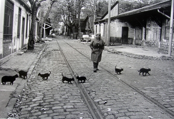 Robert Doisneau, Les Chats de Bercy, 1985