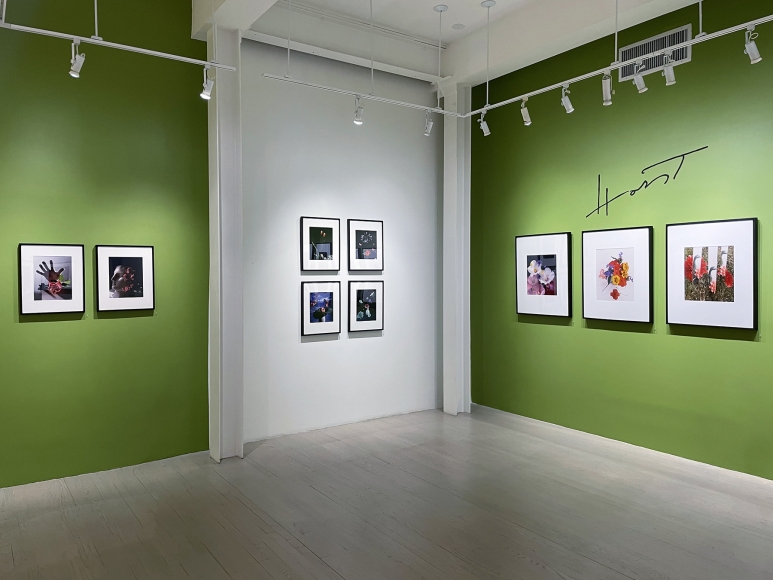 Horst P. Horst / George Hoyningen-Huene, Installation view