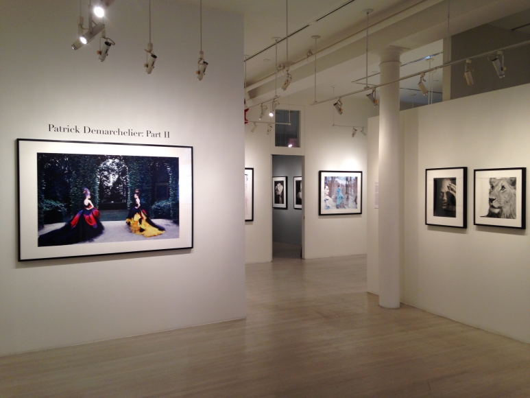 Patrick Demarchelier, Exhibition View