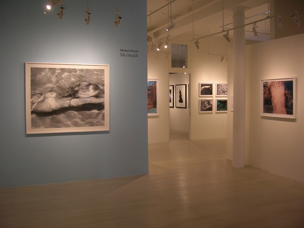 Michael Dweck, Exhibition View