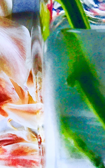 Joel Grey, Petals & Stems, circa 2018