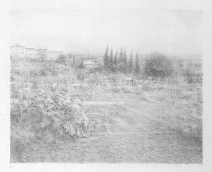 Robert bauer, Centinela III, 2004, graphite on gessoed paper, 15 x 18 1/4 inches