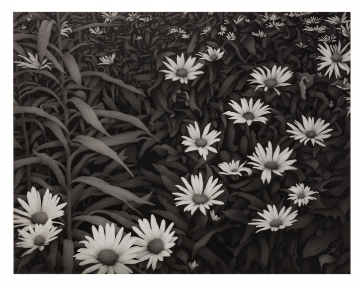 anthony mitri, Twilight, Munson Township, 2017-2018, charcoal on paper, 16 3/4 x 21 1/2 inches