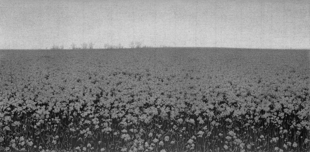 Anthony Mitri Colza (Normandy, France), 2005, charcoal on paper, 22 1/2 x 30 inches, Private Collection