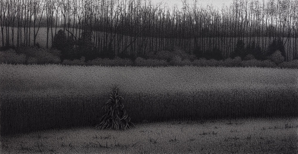 anthony mitri, Corn Shock, Bundysburg, 2018, charcoal on paper, 8 1/2 x 16 1/2 inches