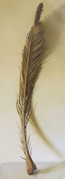 Claudio Bravo, Palmera / Frond, 2008, oil on canvas, 78 1/2 x 29 3/8 inches