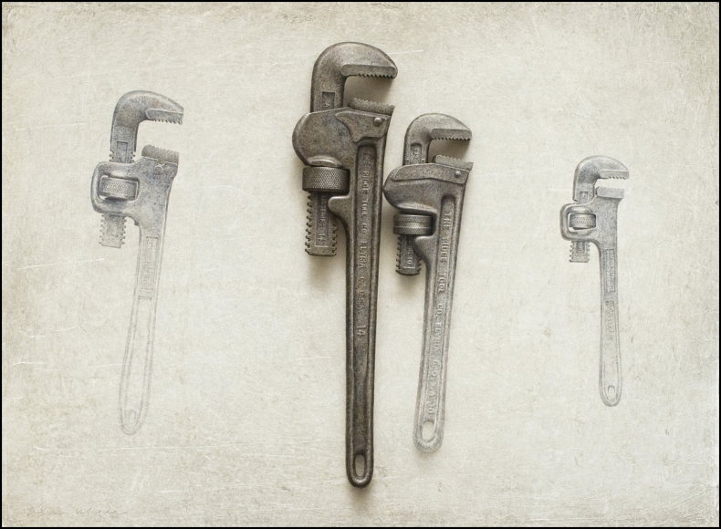 alan magee, Natural History, 1997, acrylic and oil on panel, 16 x 22 inches