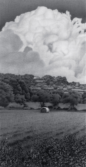 Anthony Mitri One Bale & One Silver Ring, Normandy, France, 2003, charcoal on paper, 30 x 22 1/2 inches, Private Collection