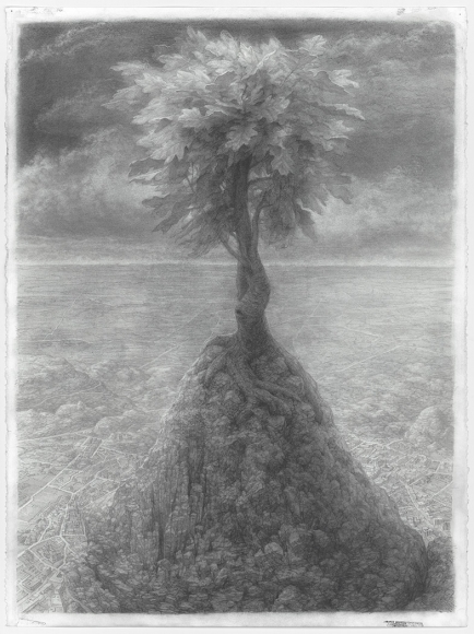 michele fenniak, Oak, 2018, graphite on paper, 30 x 22 3/8 inches