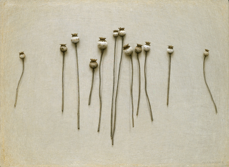 alan magee, Field, 2006, acrylic and oil on panel, 16 x 22 inches