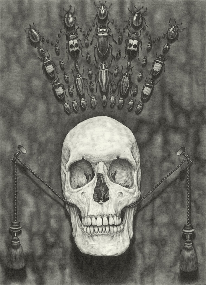 maria tomasula, Kingdom, 2018, graphite on paper, 22 x 16 inches