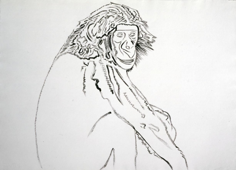 Vanishing animals essay image