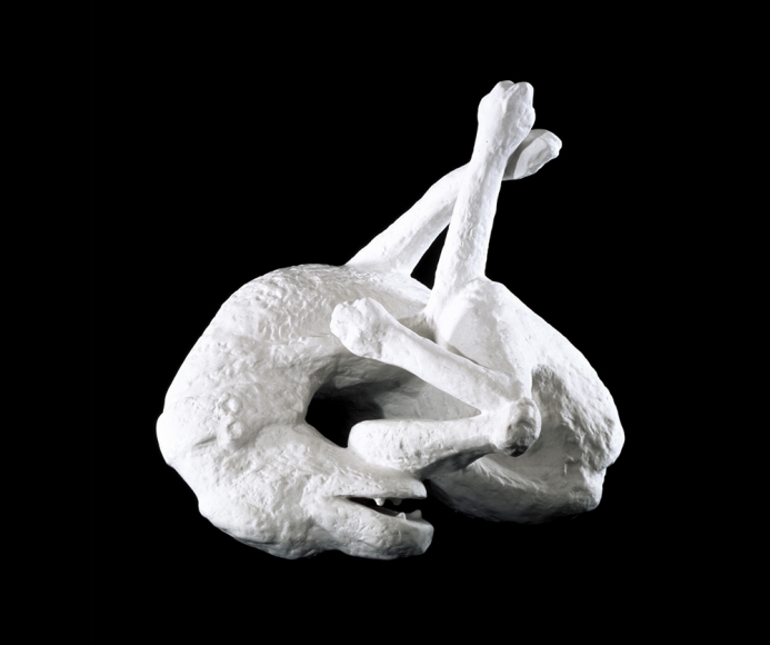 The Dog From Pompei, 1991 