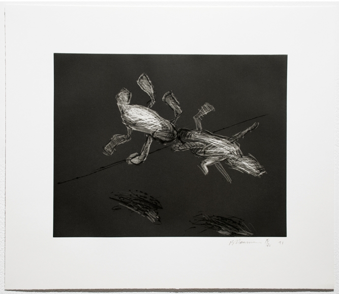 Untitled (C.68-state), 1990-91 