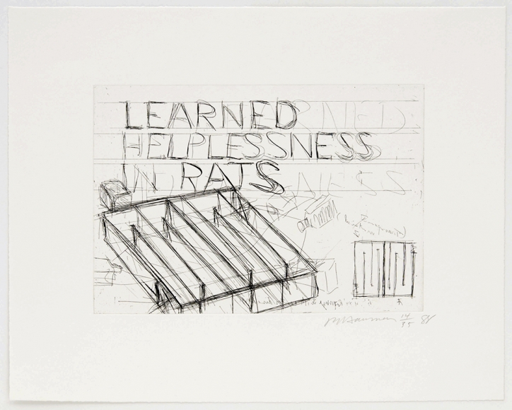 Learned Helplessness in Rats, 1988 