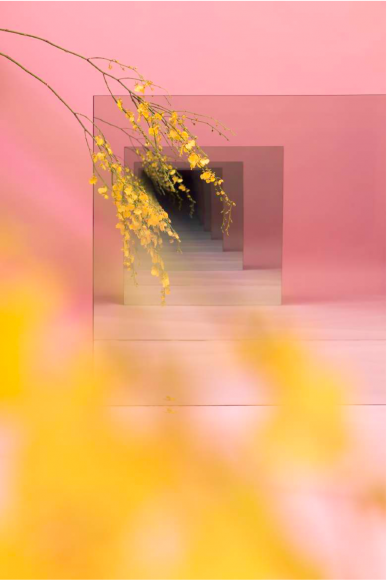 Sarah Meyohas, Pink and Yellow Speculation, 2015 Chromogenic Print, Edition 3 of 6, 60 by 40 inches