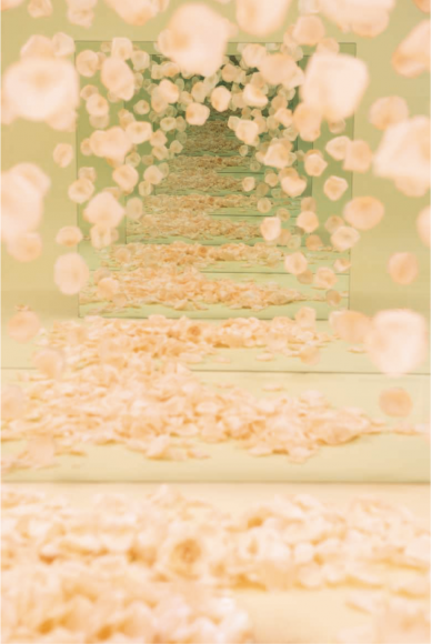 Sarah Meyohas, Peach Petal Speculation, 2017 Chromogenic Print, Edition 3 of 6 plus 2 artist proofs