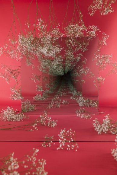 Sarah Meyohas, Babys Breath Speculation, 2017 Chromogenic Print, Edition 1 of 6