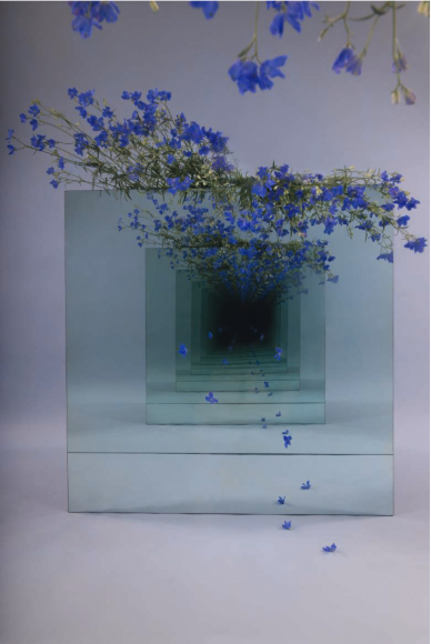 Sarah Meyohas, Fallen Speculation, 2017 Chromogenic Print, Edition 6 of 6 plus 2 Artist Proofs, 40 by 60 inches