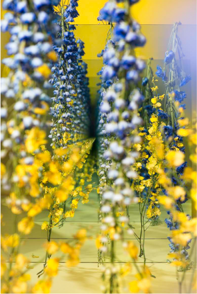 Sarah Meyohas, Yellow and Blue Speculation, 2017 Chromogenic Print, Edition is 4 of 5 plus 2 Artist Proofs