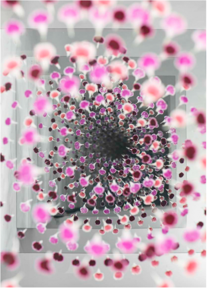 Sarah Meyohas, Grey and Pink Speculation, 2015 Chromogenic Print, Edition is 1 of 6 plus 2 Artist Proofs
