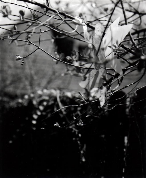 Hernan Bas. Untitled 1, from the series 'A bunch of fairies,' 2011. Gelatin silver print, 12 x 9.6 cm (image) 37 x 29.5 cm (framed). Courtesy of the artist & PKM Trinity Gallery.