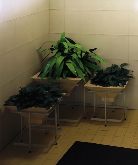 Thomas Demand. Hydrokultur (Edition of 6), 2010. C-print/ diasec, 168 x 138 cm. Courtesy of the artist & PKM Gallery.