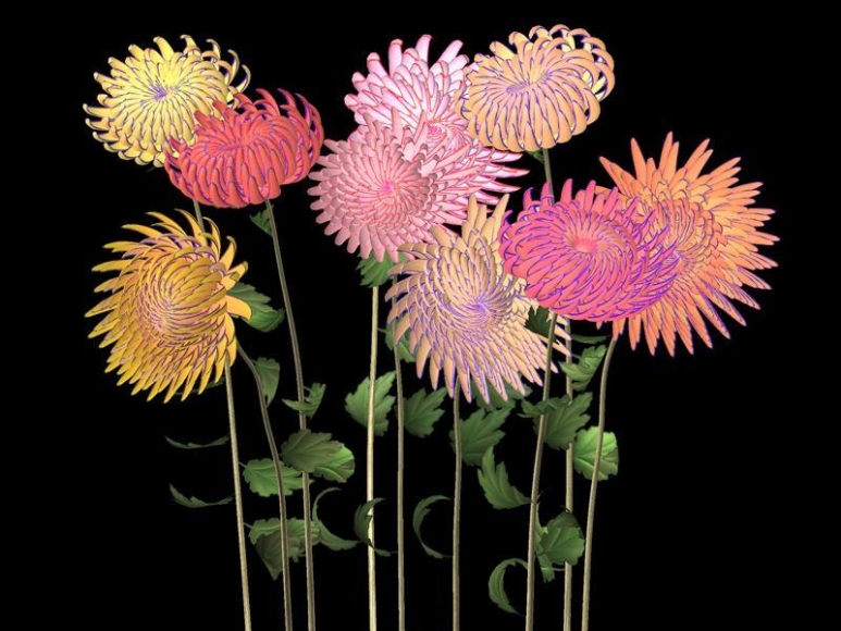 Jennifer Steinkamp. Hurdy Gurdy Man (Chrysanthemums) (Ed. 4/6), 2006. Video installation, Dimensions variable. Courtesy of the artist & PKM Gallery.