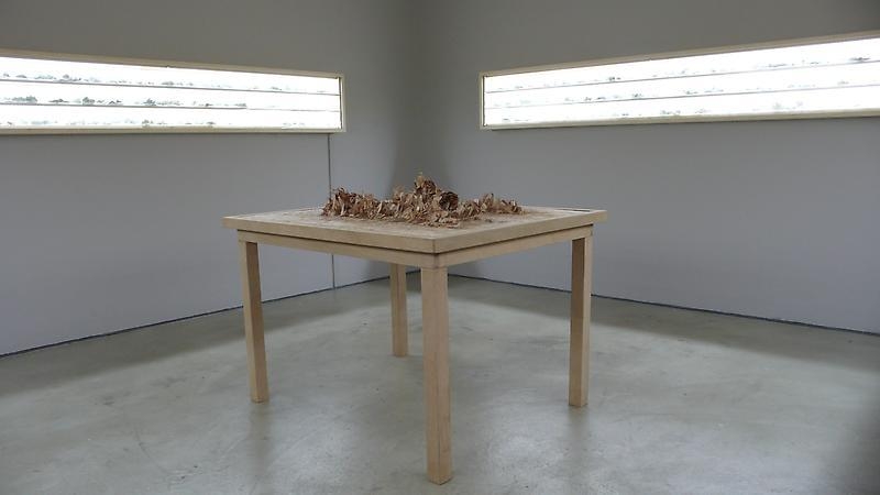 Bae Young-whan. Installation view of solo exhibition “Autonumina,” P K M Gallery | Bartleby Bickle & Meursault, 2010. Courtesy of the artist & PKM Gallery.