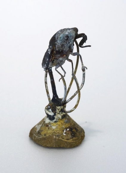 Koo Hyunmo. Cicada, 2018. Brass, 4 x 4.5 x 8.5 cm. Courtesy of the artist & PKM Gallery.