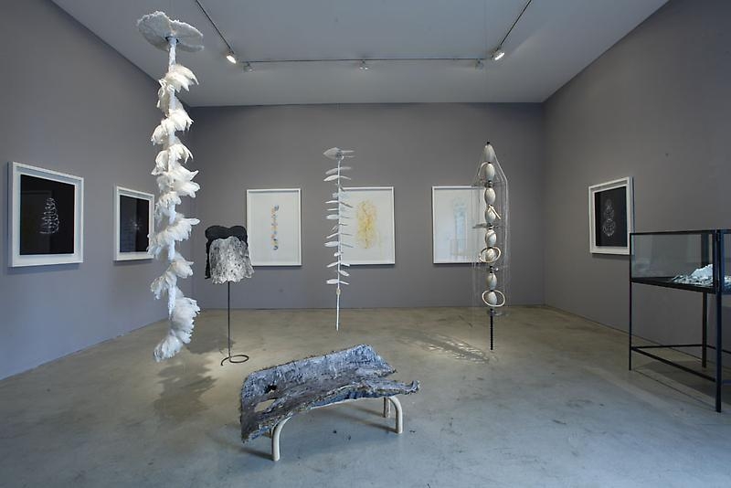 Minouk Lim. Installation view of solo exhibition "Liquide Commune," P K M Galley | Bartleby Bickle & Meursault, 2011. Courtesy of the artist & PKM Gallery.