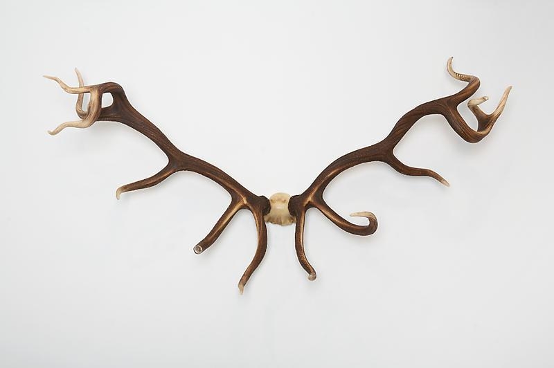 Michael Joo. Flawed / Empowered, 2008. Polyurethane, acrylic paint, 101.6 x 177.8 x 50.8 cm. Courtesy of the artist & PKM Gallery.