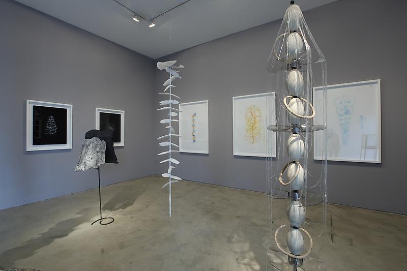 Minouk Lim. Installation view of solo exhibition "Liquide Commune," P K M Galley | Bartleby Bickle & Meursault, 2011. Courtesy of the artist & PKM Gallery.