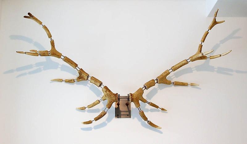 Michael Joo. Improved Rack (Scottish Red Stag #6), 2007. Antlers, stainless steel, 86.4 x 142.2 x 38.1 cm. Courtesy of the artist & PKM Gallery.