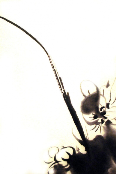 Zhou Tiehai. Hibiscus, 2008, Acrylic(airbrush) on canvas, 150 x 100 cm. Courtesy of the artist & PKM Gallery.
