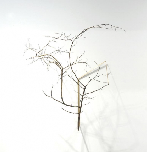 Koo Hyunmo. Zelkova, 2018. Brass, Dimension variable. Courtesy of the artist & PKM Gallery.